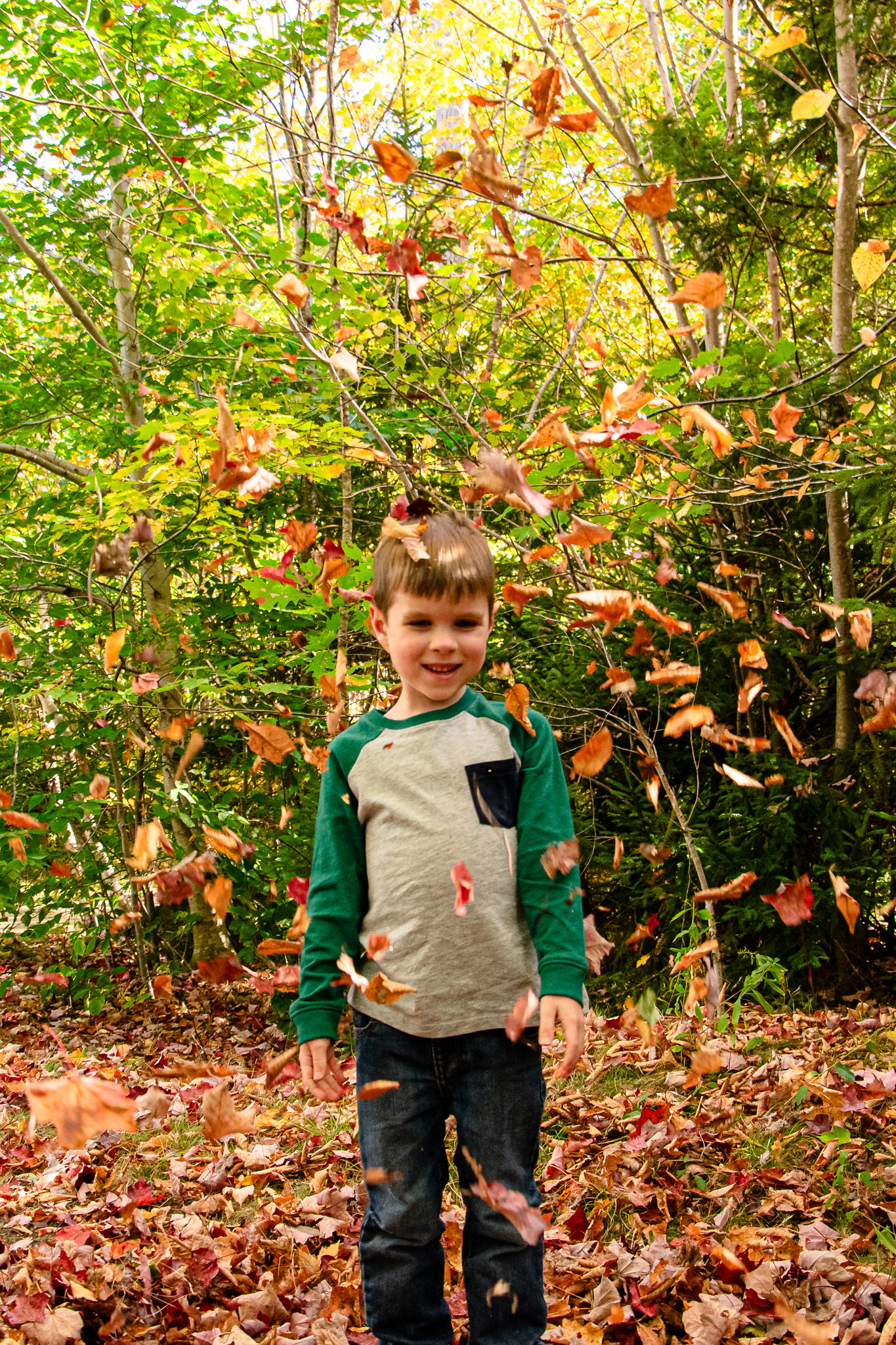 A young boy smiles while standing in a forest, surrounded by colorful autumn leaves falling around him.
