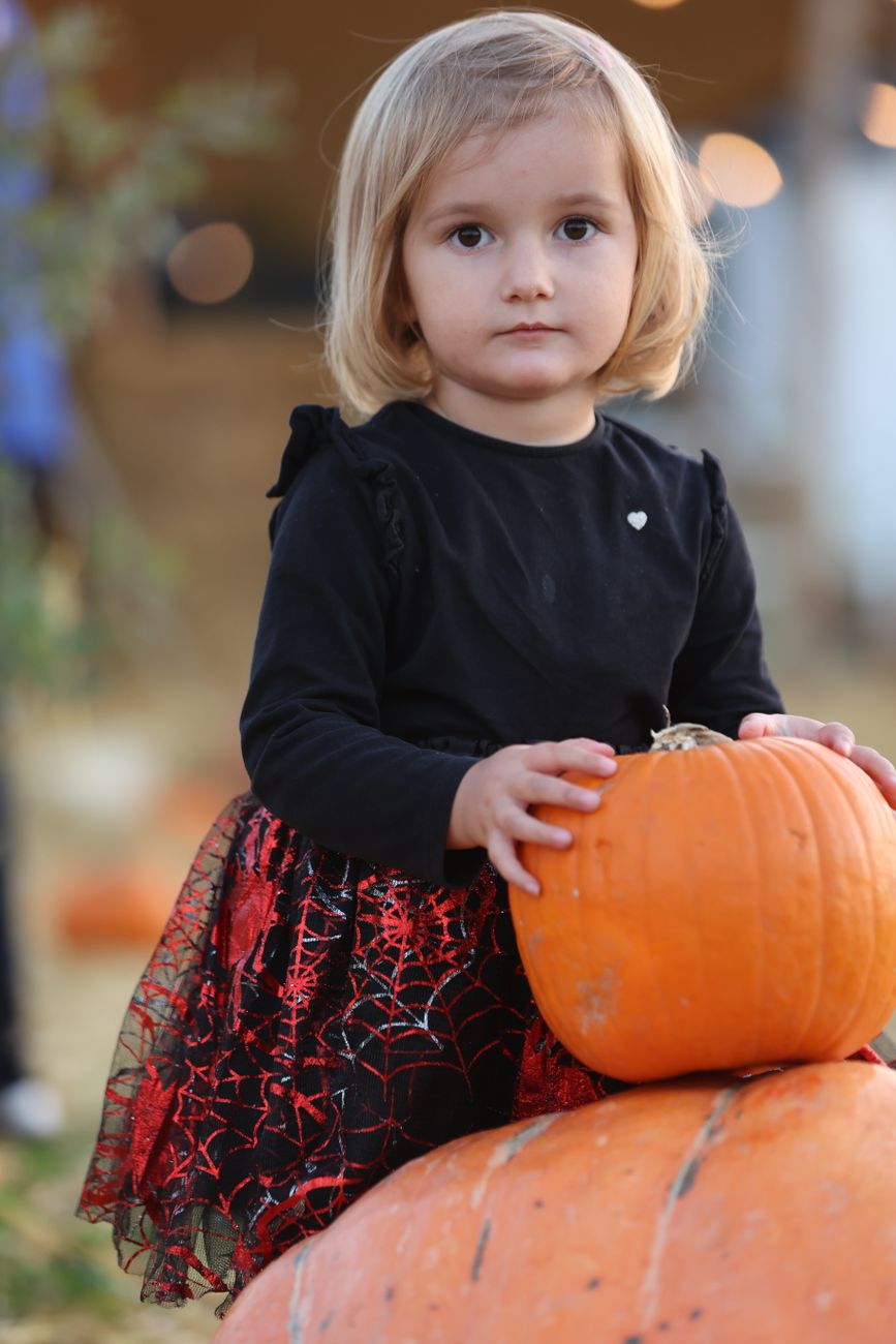 A young girl in a black long-sleeve shirt and a spider web-patterned red skirt, holding an orange pumpkin while sitting on another pumpkin.