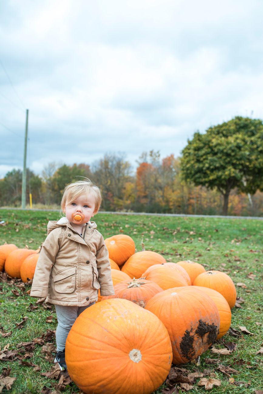 A young child stands among a pile of pumpkins in a field, wearing a brown jacket and gray pants, with a pacifier in their mouth and a blurred background of autumn trees.